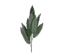 ramo foglie verdi